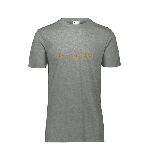 [FTSCUBGY-AS-LOGO2] Decker Men's Tri-Blend T-Shirt - Short Sleeve (Adult S, Gray, Logo 2)