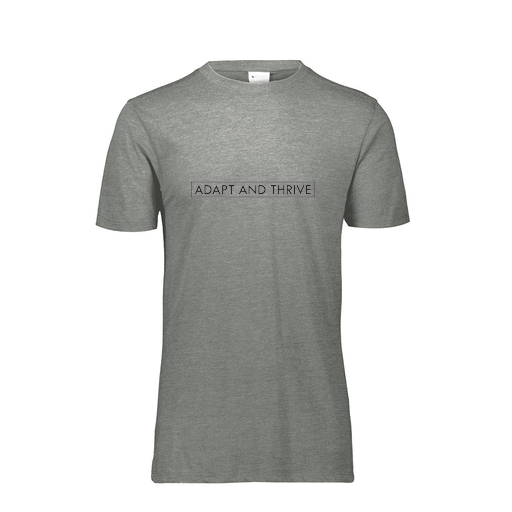 [3065-6310-GRY-AS-LOGO3] Men's Ultra-blend T-Shirt (Adult S, Gray, Logo 3)
